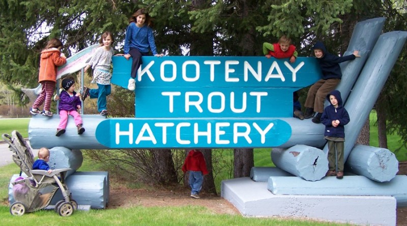 Kootenay Trout Hatchery