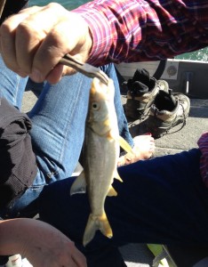Fishing fun on Columbia Lake