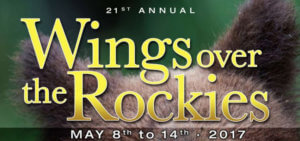 Wings Over The Rockies 2017