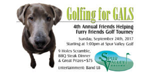 Golfing for GALS