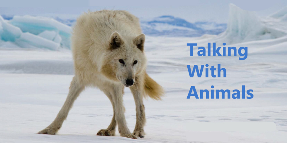 Talking with Animals - Jon Turk