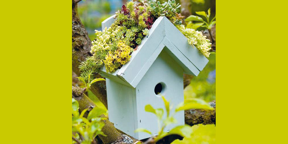 Bird house planter workshop at Inspire