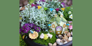 Fairy garden workshops at Inspire
