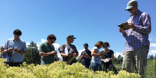 Plant ID course, East Kootenay Invasive Species Council